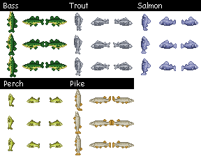 One off the List: Dolphin Fun